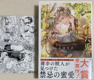 虐げられた兎は運命の番に略奪溺愛される （＆ａｒｃｈｅ　ＮＯＶＥＬＳ） 志波咲良／〔著〕　S S付イラストカード付