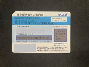 ANA 株主優待券 2枚セット売り 【送料無料】 2024年5月31日まで 全日空　【送料込み】