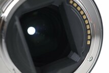 SONY ソニー α FE 90mm 2.8 Macro G OSS SEL90M28G レンズ デジタル一眼カメラ Eマウント用★F_画像9