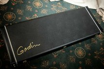 ♪Godin Multiac ACS-SA ゴダン エレガット ☆D 0520_画像8