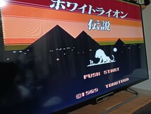 【送料無料】 FC ファミコン ホワイトライオン伝説 ファミコンソフト動作確認済 _画像7