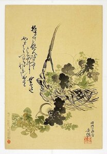 久保田米僊木版画　野菜籠　（仮題）　久保田米僊画