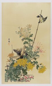 Art hand Auction 玉泉木版画：望月玉泉的《鸟与菊花》, 绘画, 浮世绘, 印刷, 歌舞伎绘画, 演员画作