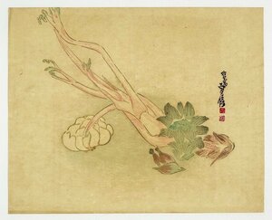 Art hand Auction Sadanobu Woodblock Print: Udo Lily Root (working title: Uchiwa-e) by Sadanobu Hasegawa, Painting, Ukiyo-e, Prints, Kabuki painting, Actor paintings