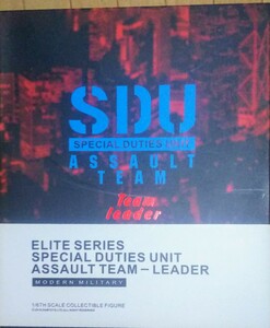 DAM TOYS ダムトイズ S.D.U SPECIAL DUTIES UNIT ASSAULT TEAM Team leader 1/6アクションフィギュア