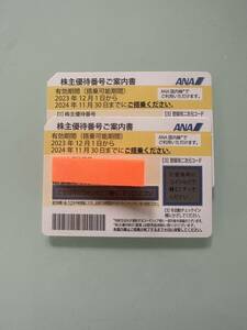 ANA 全日空　株主優待券　2枚セット　期限2024年11月30日まで 