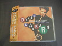 CD　DAVID　SANBORN/SANBORN　BEST　DREAMING　GIRL　デイヴィッド・サンボーン/サンボーン・ベスト　デヴィッド・サンボーン_画像1