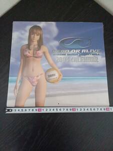 デッドオアアライブ DEAD OR ALIVE 2003 カレンダー 輸入品　未開封新品　送料込み