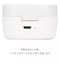 【新品未開封・送料無料・匿名発送】　ミッキーマウス総柄　完全ワイヤレスステレオイヤホン　DNG-75A　★　グルマンディーズ_画像8