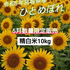 5月数量限定販売 ！精白米10kg『令和5年度 宮城県産ひとめぼれ』