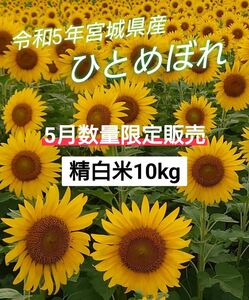 5月数量限定販売 ！精白米10kg『令和5年度 宮城県産ひとめぼれ』