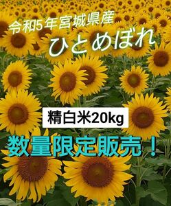 数量限定販売『精白米20kg』令和5年度 宮城県産ひとめぼれ