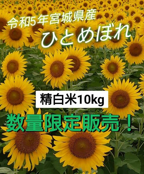 週末数量限定『令和5年度 精白米10kg』宮城県産ひとめぼれ