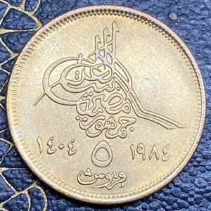 (準未使用)エジプト硬貨5ピアストル1984年　外国　海外　古銭　コイン　貨幣　硬貨　コレクション　希少　レア