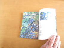 ブルーベリー　　よくわかる栽培12ヶ月　　　　堀米　充著　NHK趣味の園芸　　　2002年2月　　単行本_画像2