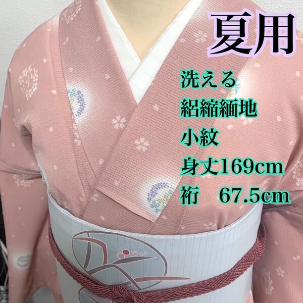 1739◆着物ライフ満喫◆夏用 洗える 絽縮緬地小紋