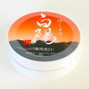 【新品・未開封】新大和漢方 白陽 朝用オールインワンクリーム 40g