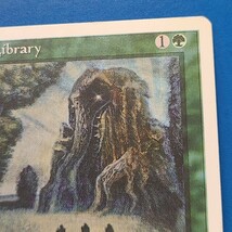 [MTG]森の知恵/Sylvan Library(第4版/4ED)英語版_画像3