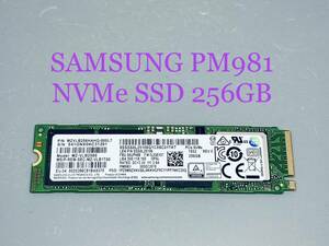SAMSUNG PM981 256GB MZ-VLB2560 NVMe PCIe M.2 2280 SSD★使用時間:1917時間,電源投入:672回