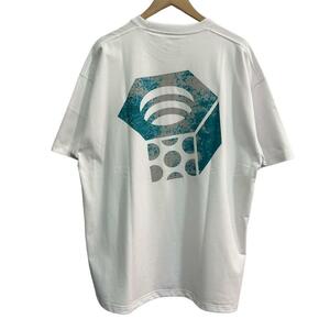 【美品】サイズL マウンテンハードウェア ビームス MOUNTAIN HARDWEAR × BEAMS 別注 RUST NUT T-shirt Tシャツ　8065000177017