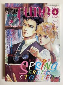  novel juneJune No.12 1985 year 4 month spring. gloss laughing . work compilation 