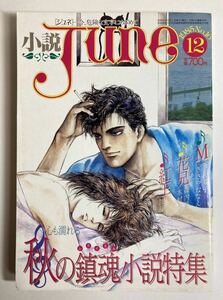  novel juneJune No.16 1985 year 12 month autumn . soul novel special collection 