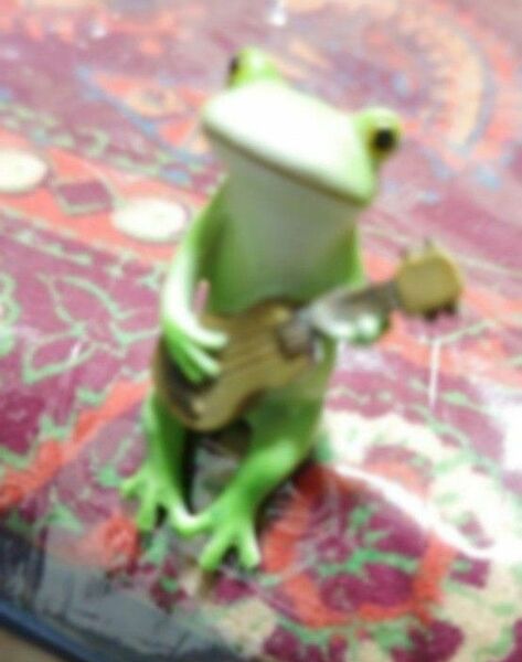 ギターをひくコポタロウ　　カエルのコポー