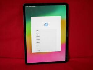 ♪Apple iPad Pro 第2世代 11インチ Wi-Fi model: A2228 128GB【タッチパネル難あり】♪