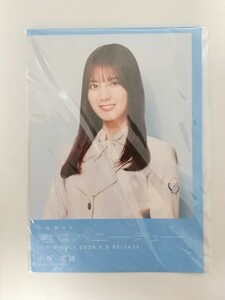 送料無料 SHIBUYA TSUTAYA 限定特典 小坂菜緒 フライヤー 日向坂46 君はハニーデュー CD しぶやつたや