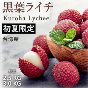 【予約受付中・6月末より発送予定】台湾産 生ライチ 3.0kg（約180粒） 台湾産 黒葉ライチ農園直送品質管理 冷蔵3℃~5℃管理 完熟期間限定