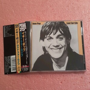 CD 国内盤 帯付 イギー ポップ ラスト フォー ライフ IGGY POP LUST FOR LIFEの画像1