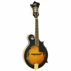*ARIA Aria AM-40 F- type Flat mandolin hard case attaching * new goods including carriage 