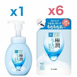 【本体x1、詰替x6】ロート製薬 肌ラボ 極潤 ヒアルロン泡洗顔 本体 160mL ＆ つめかえ用 140mL