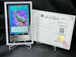 ARS鑑定 10+】ハーピィの羽根帚 アルティメットレア レリーフ QCCP-JP127 遊戯王 OCG BGS PSA ARS10+ 鑑定品 PRIDE プライド 羽根箒