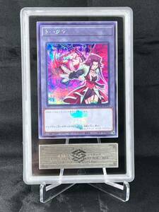 【ARS真贋鑑定品鑑定】トークン 十六夜アキ ブラック・ローズ・ドラゴン シークレット シクQCDB-JPT14 遊戯王 OCG BGS PSA ARS10+ 鑑定品