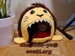 N322☆新品ペットハウス ライオン ペット用ベッド 猫用ベッド 犬用ベッド ねこ 猫 小型犬 いぬ 洞穴 洞窟 クッション 茶色 灰色 黄