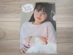 [P-02]book@...B5 clear file cosplay idol gravure goods stationery * including in a package possible 01