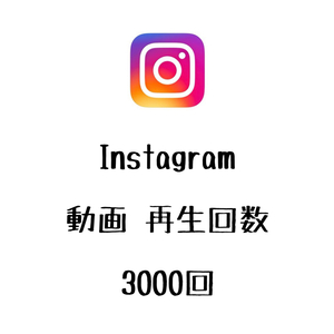 【手作りファイル】 Instagram インスタグラム Reels リール 再生回数 再生数 3000回