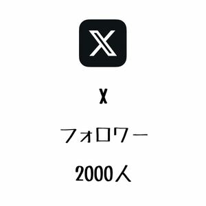 【手作りファイル】 X ( Twitter ) フォロワー