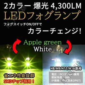 2色切替式 ライムグリーン ホワイト LEDフォグランプ H8 H11 H16 フォグライト 12V 24V 最新LEDチップ 用品