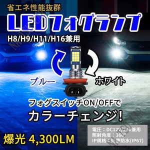 H8 H11 H16 カラーチェンジ ブルー ホワイト フォグランプ フォグライト 12V 24V 最新LEDチップ 今だけ価格