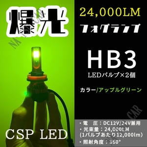 爆光 LED フォグランプ HB3 グリーンアップル ハイビーム グリーンイエロー ライム アップルグリーン ライムグリーン 用品