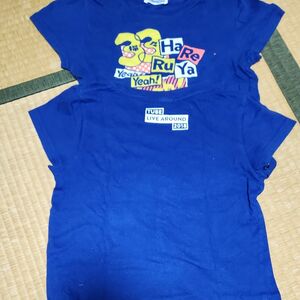 TUBEKIDS半袖Tシャツ2枚