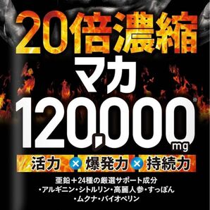 20倍濃縮マカ 120,000mg 活力×爆発力 亜鉛 シトルリン アルギニン