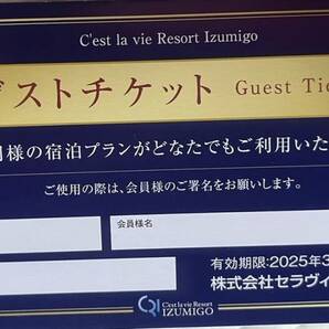 送料無料 セラヴィリゾートゲストチケット泉郷会員クーポン券2024年度版の画像1