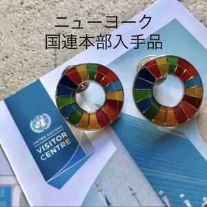 【国連本部純正品】SDGs ピンバッジ　2点セット【新品未使用】