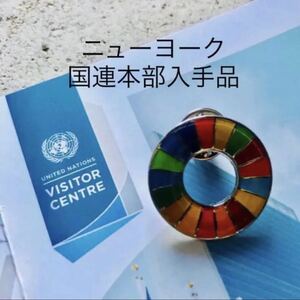 【国連本部純正品】SDGs ピンバッジ　1点　【新品未使用】