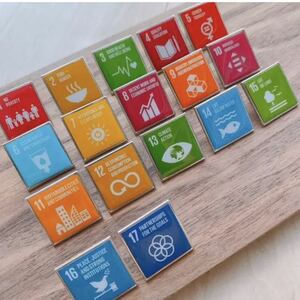 【数量限定】単品販売 SDGs スクエアピンバッジ 【国連本部入手品】