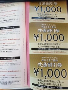 西武ホールディングス株主優待共通割引券1000円×10枚送料込