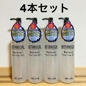 【新品】エービーエル ボタニカル ナチュラルピーリングジェル 250g 洗浄料　ポンプ